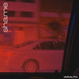 Wealth - Shame