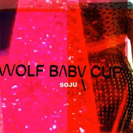 Wolfbabycup - Soju