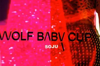 Wolfbabycup - Soju